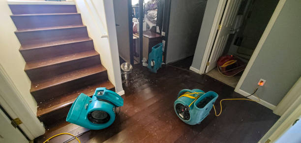Best Water damage cleanup near me  in Absecon Highlands, NJ