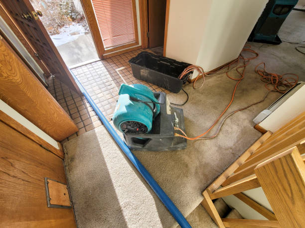 Best Mold removal after water damage  in Absecon Highlands, NJ