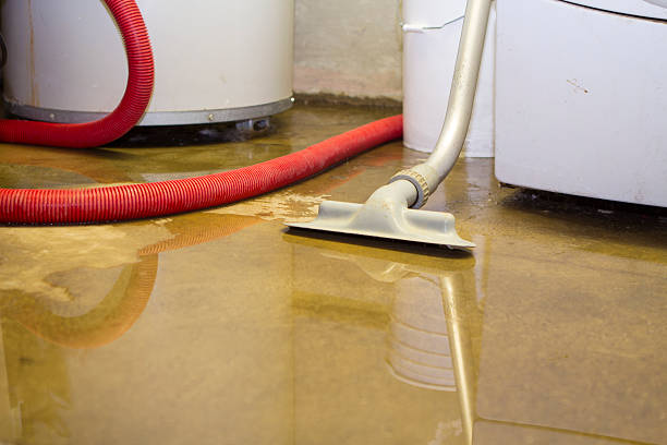 Best Water damage restoration company  in Absecon Highlands, NJ